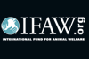 ifaw-big